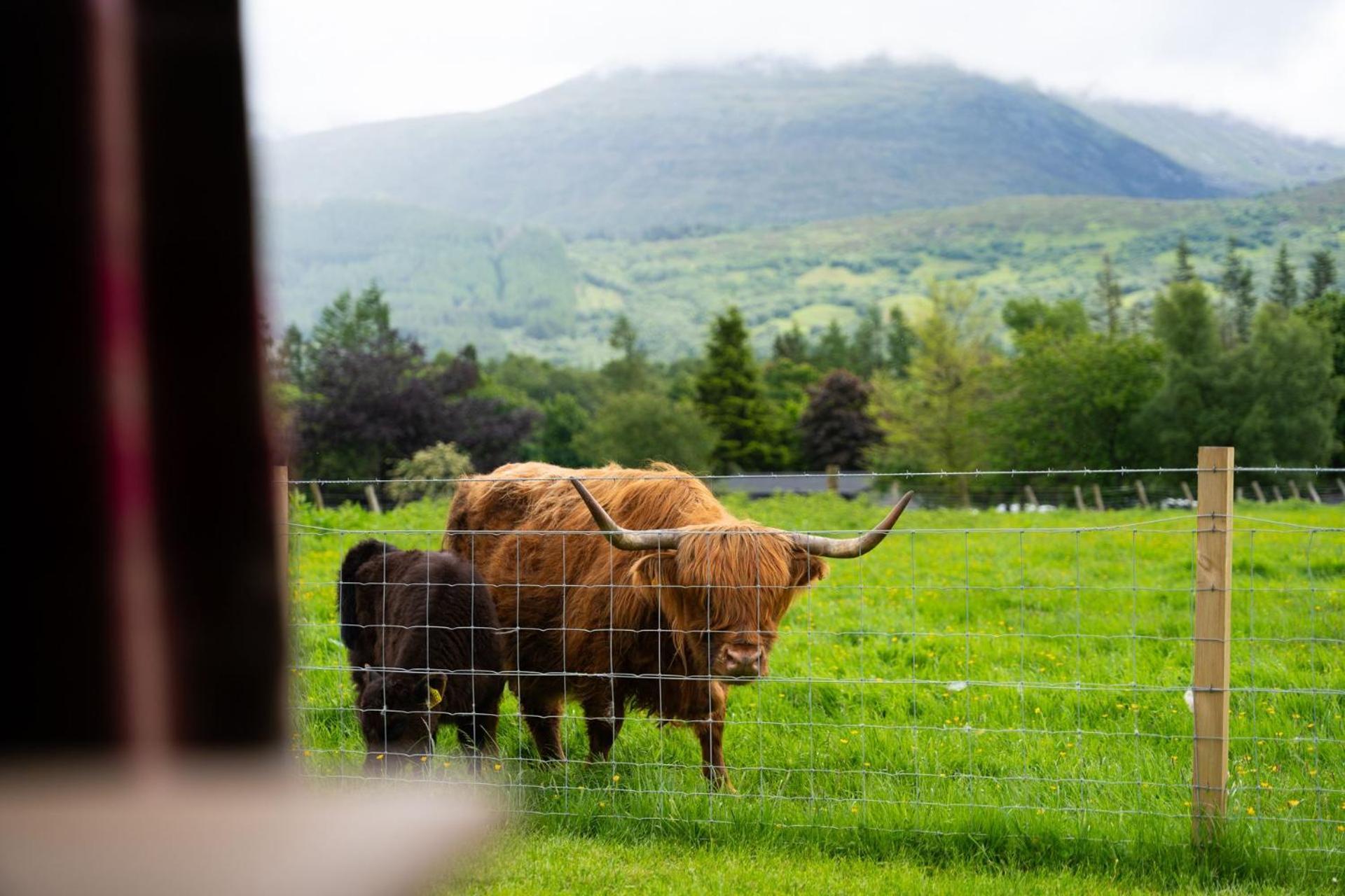 Ben Nevis Pod Villa Fort William Eksteriør bilde